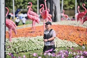 BIB: 
                            <button type="button" onclick="openModal(27793109)" class="btn btn-primary btn-sm float-right btn-popup" data-toggle="modal" data-target=".modal-high-quality">
                        <i class="fas fa-shopping-cart"></i> Add to Cart
                    </button>
                                            <button type="button" onclick="isThisMe(27793109, true)" class="btn btn-success btn-sm float-right btn-popup btn-isme hidden" data-toggle="tooltip" data-placement="bottom" title="นี่คือรูปของคุณใช่ไหม คลิกที่นี่เพื่อเอาเข้าอัลบั้ม">
                        <i class="fas fa-plus"></i> Add to album
                    </button>
                    <button type="button" onclick="isThisMe(27793109, false)" class="btn btn-warning btn-sm float-right btn-popup btn-isnotme hidden">
                        <i class="fas fa-ban"></i> Remove from album
                    </button>